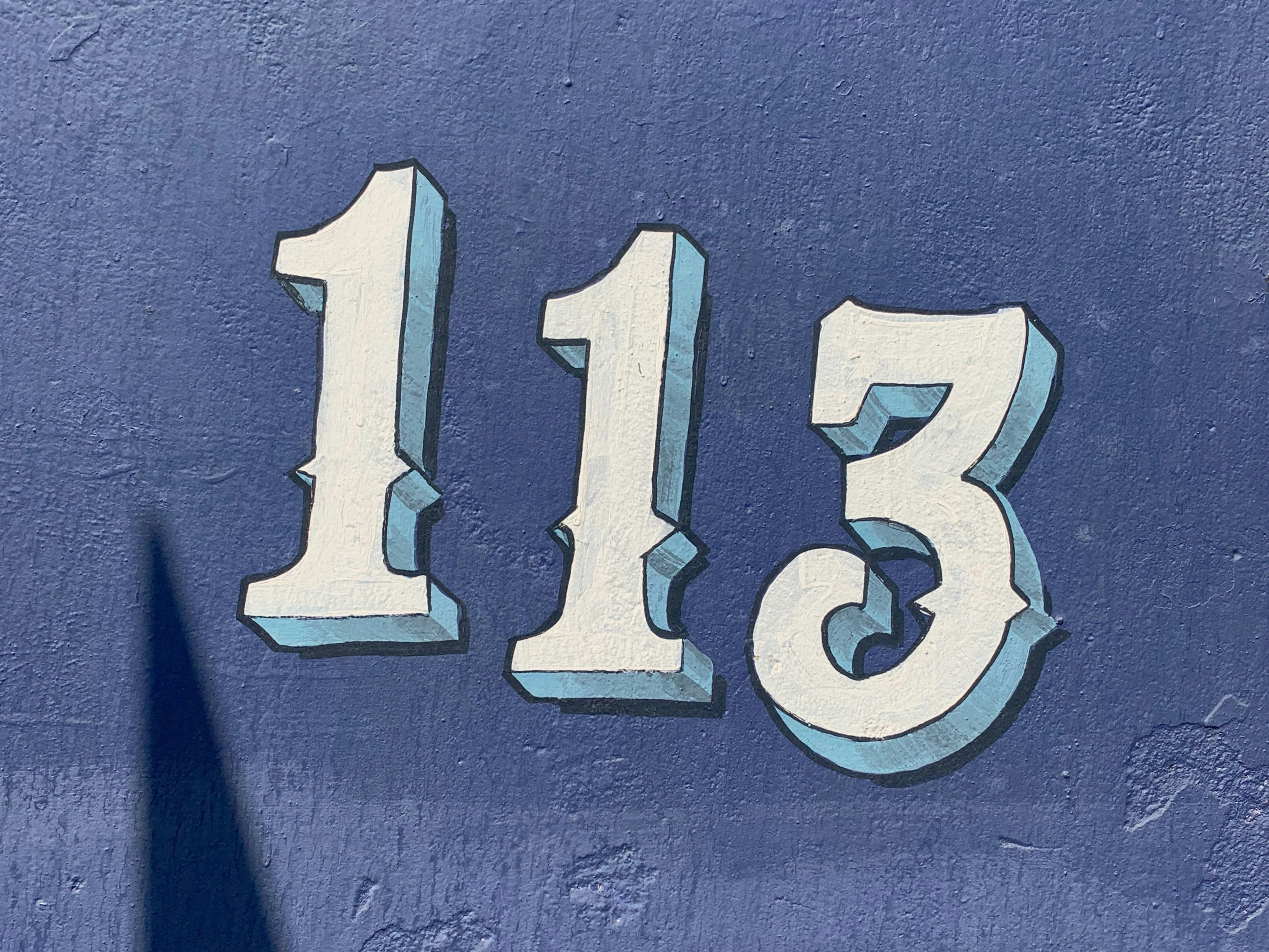 Cycle #113